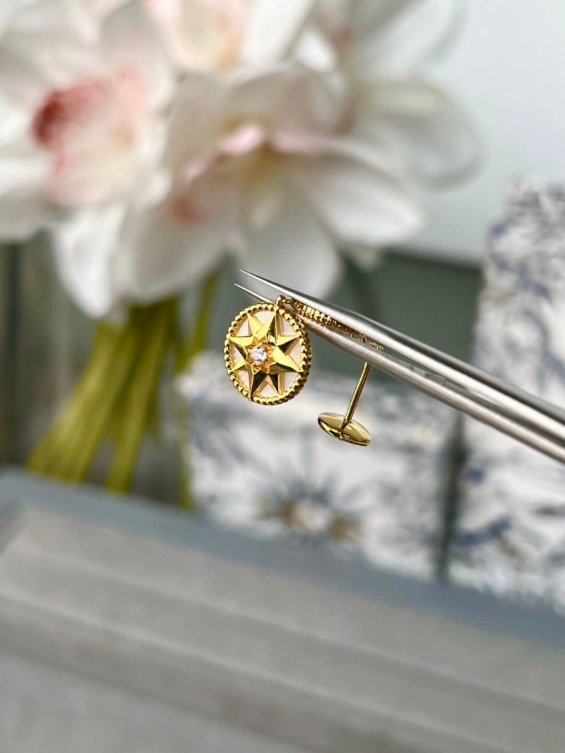 Sleek Christian Dior Earrings 234873
