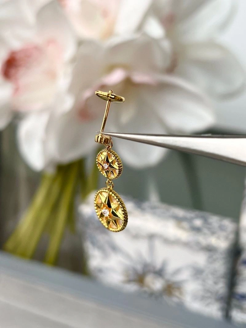 Sleek Christian Dior Earrings 234873