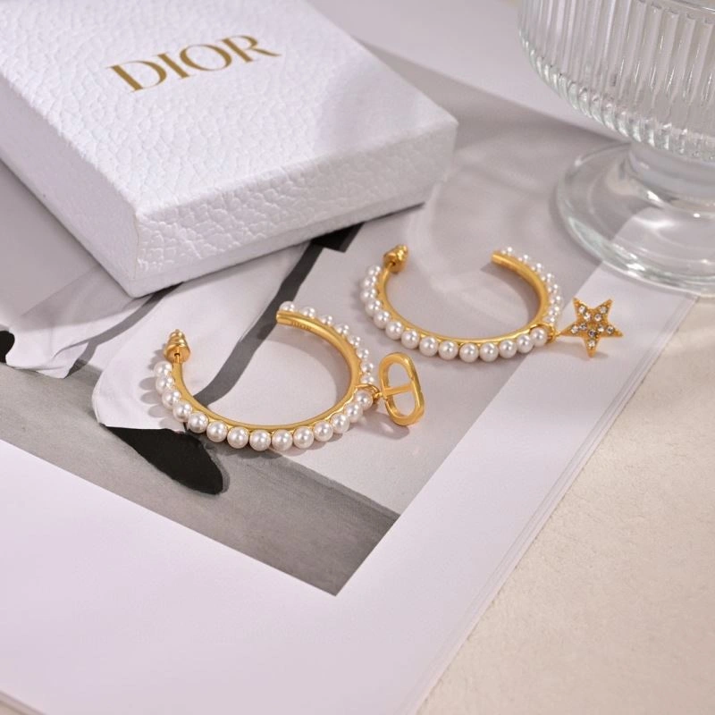 Christian Dior Earrings Sleek 234862