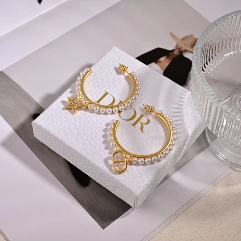 Christian Dior Earrings Sleek 234862