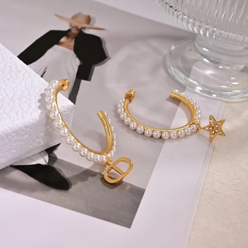 Christian Dior Earrings Sleek 234862