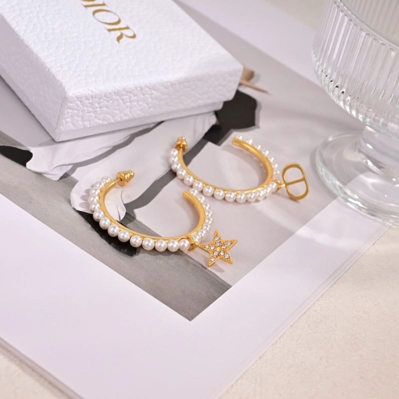 Christian Dior Earrings Sleek 234862