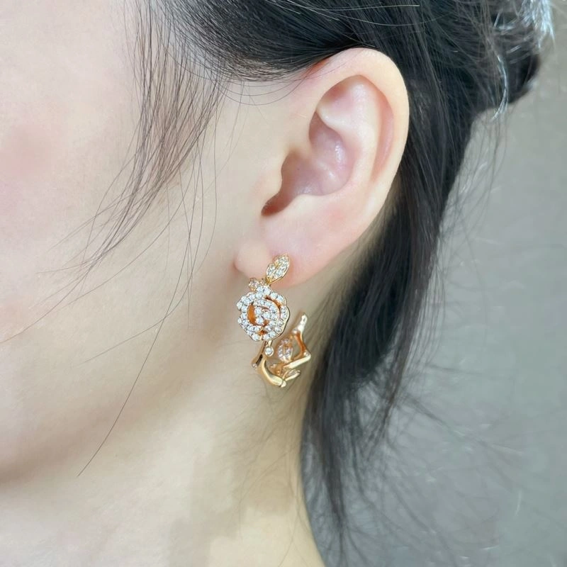 Breathable Christian Dior Earrings 234595