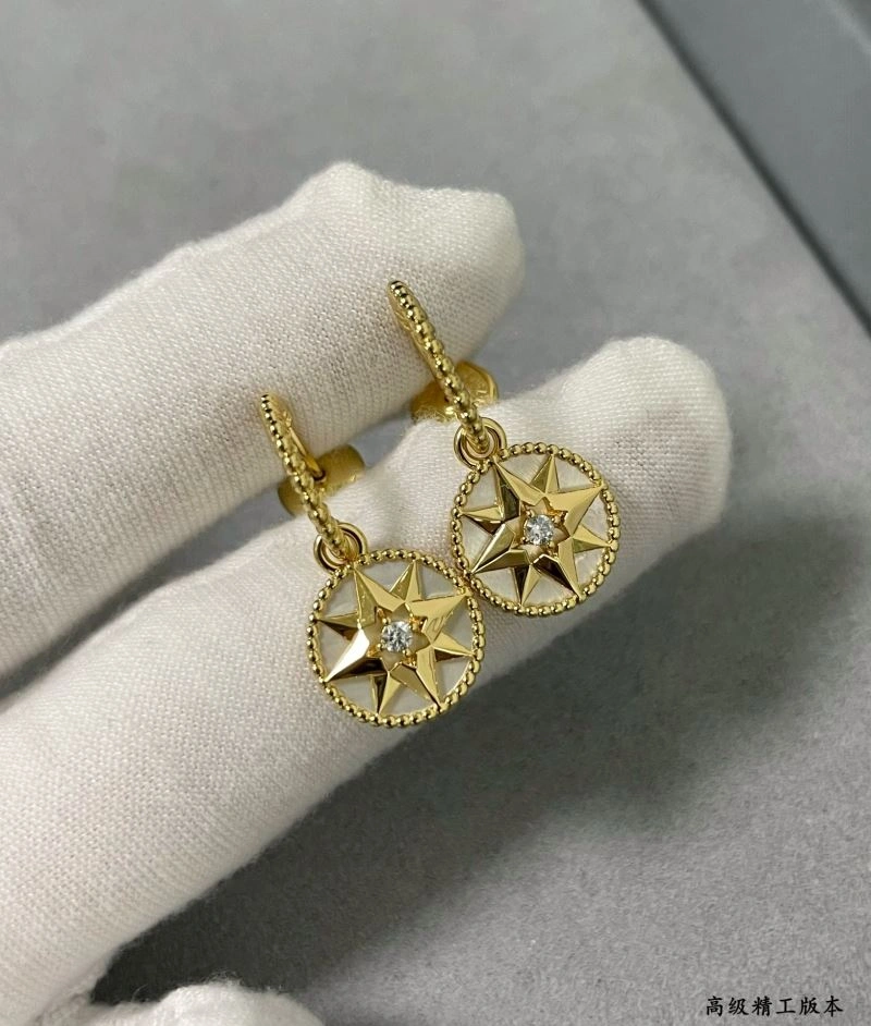 Christian Dior Earrings Compact 234602