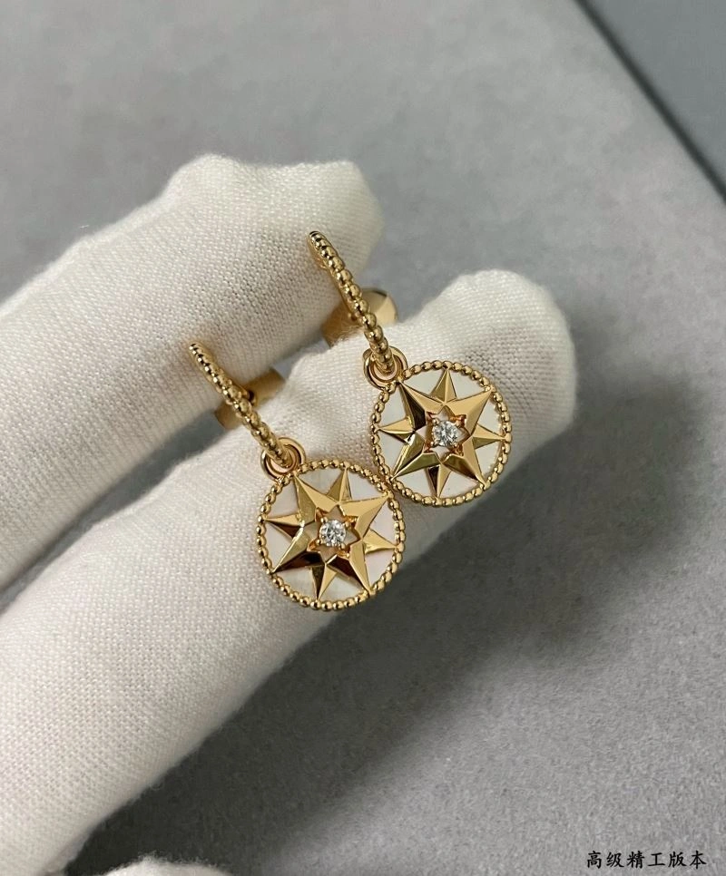Christian Dior Earrings Compact 234602