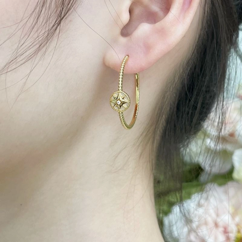 Timeless Christian Dior Earrings 234597