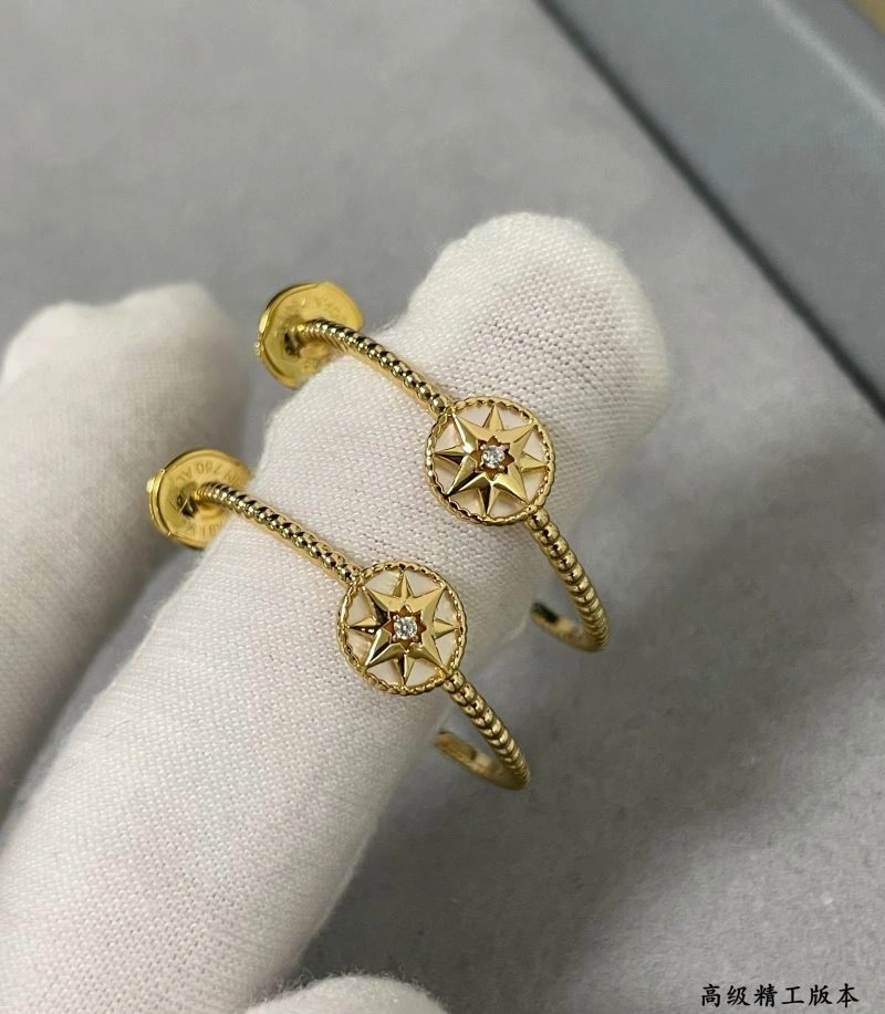 Timeless Christian Dior Earrings 234597