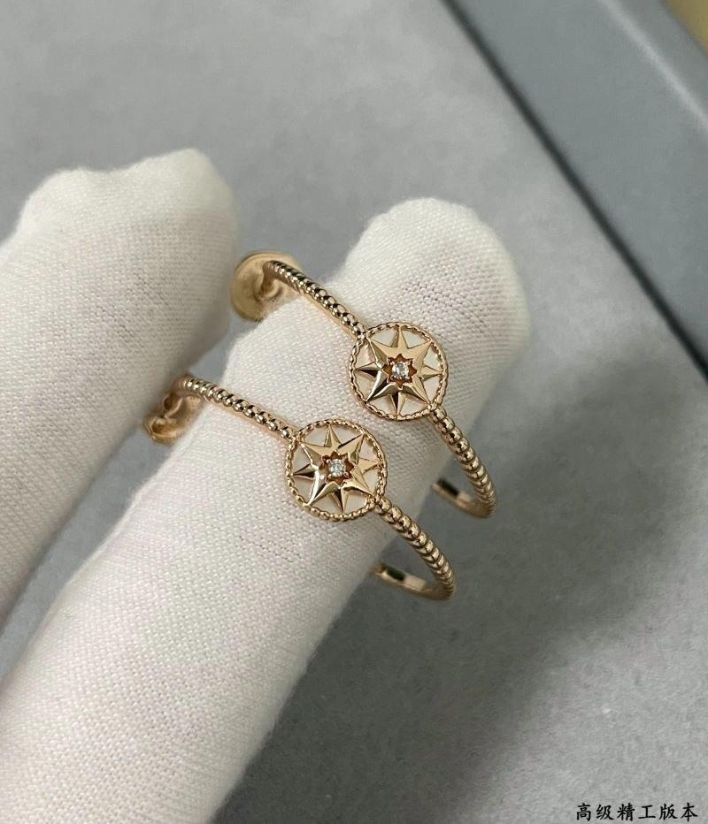 Timeless Christian Dior Earrings 234597