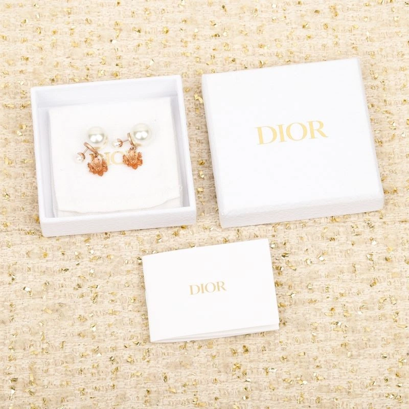 EasyCare Christian Dior Earrings 234637