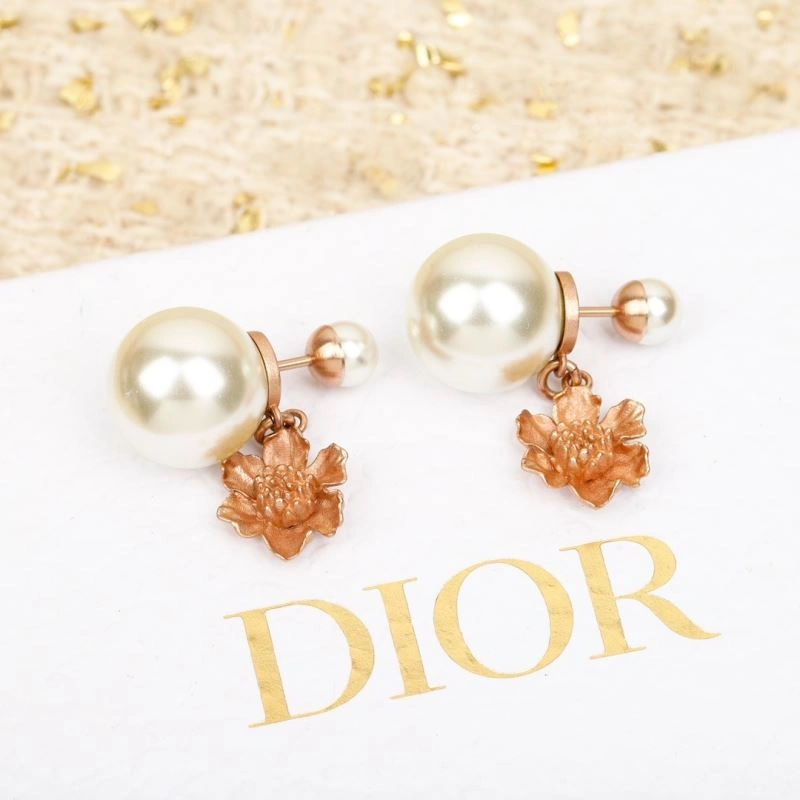 EasyCare Christian Dior Earrings 234637
