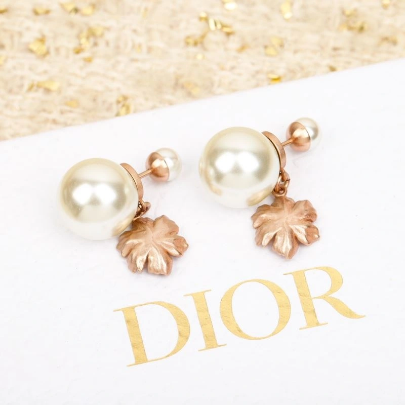 EasyCare Christian Dior Earrings 234637