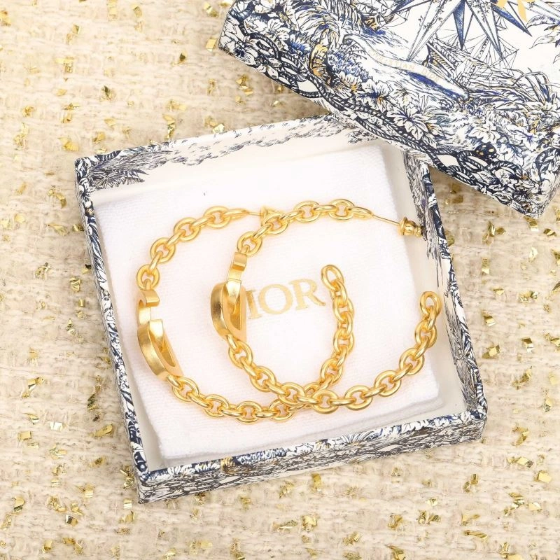 Christian Dior Earrings Fashionable 234583