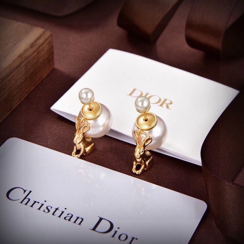 Tailored Christian Dior Earrings 234582