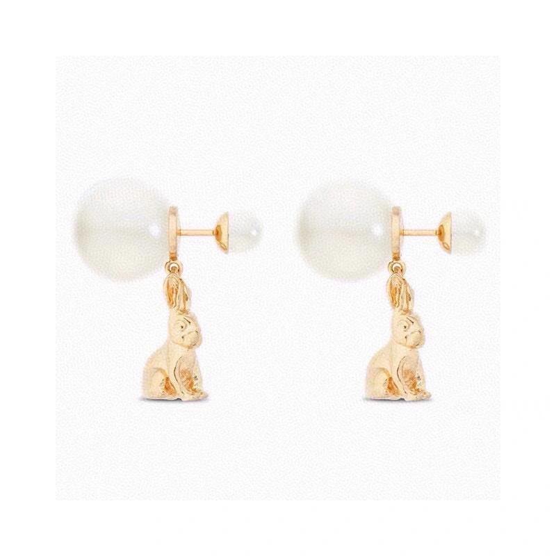 Tailored Christian Dior Earrings 234582