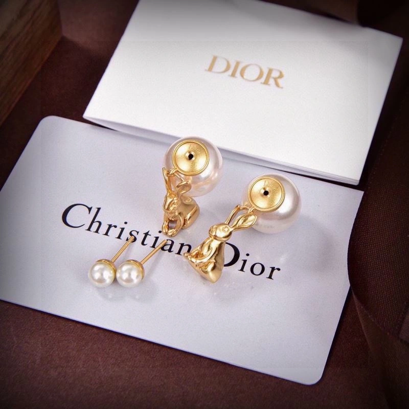 Tailored Christian Dior Earrings 234582