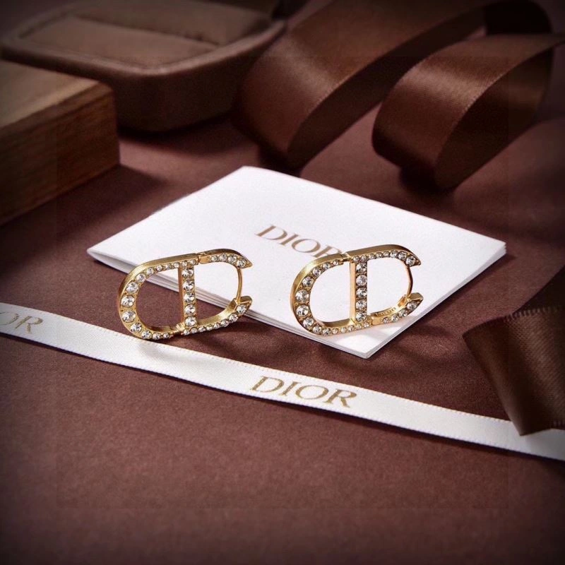 Christian Dior Earrings DailyWear 234581