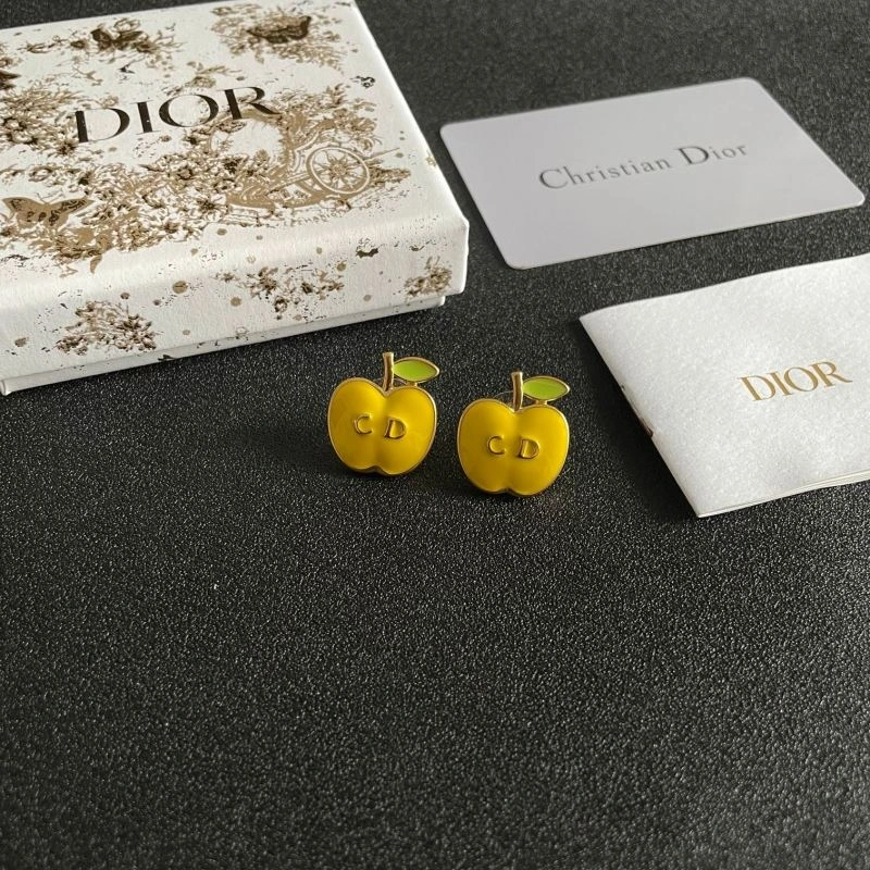 StreetReady Christian Dior Earrings 234585