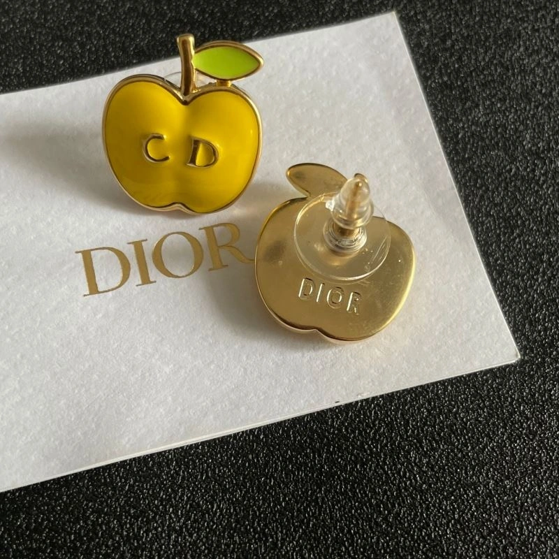 StreetReady Christian Dior Earrings 234585