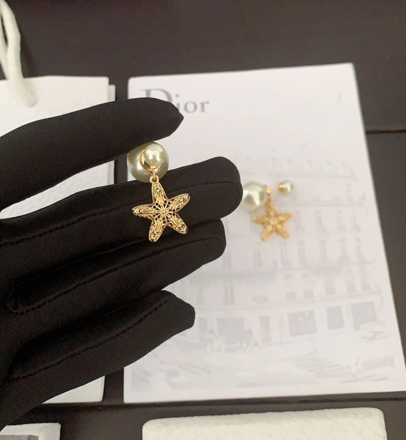 Christian Dior Earrings Breathable 234566