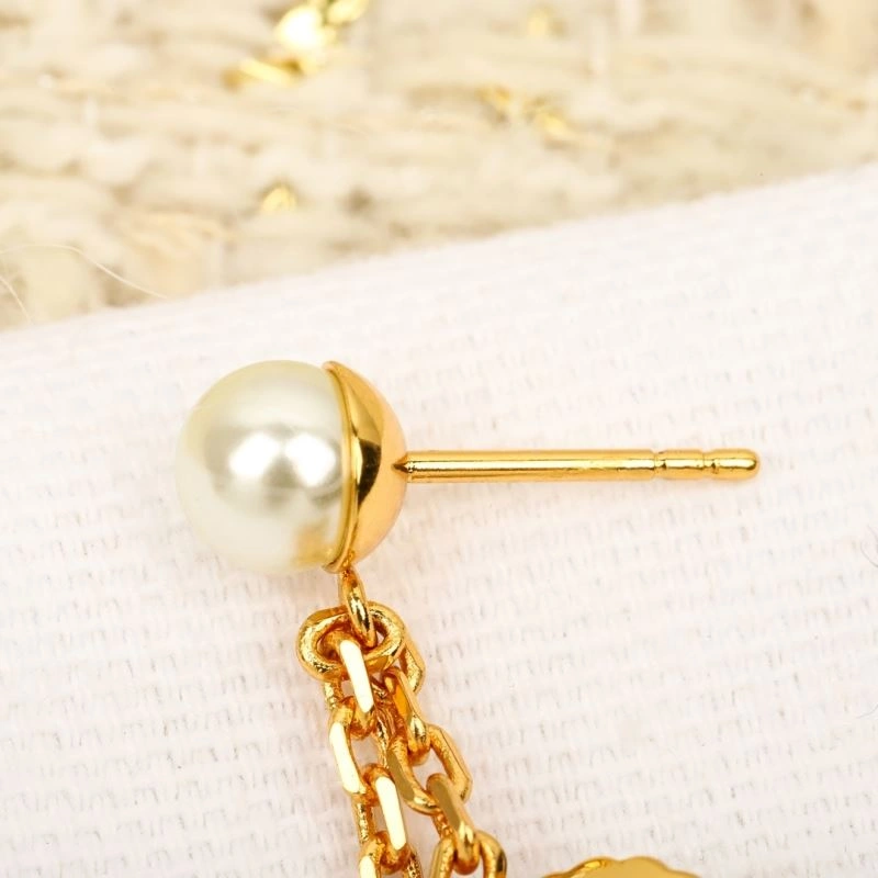 TechFriendly Christian Dior Earrings 234584
