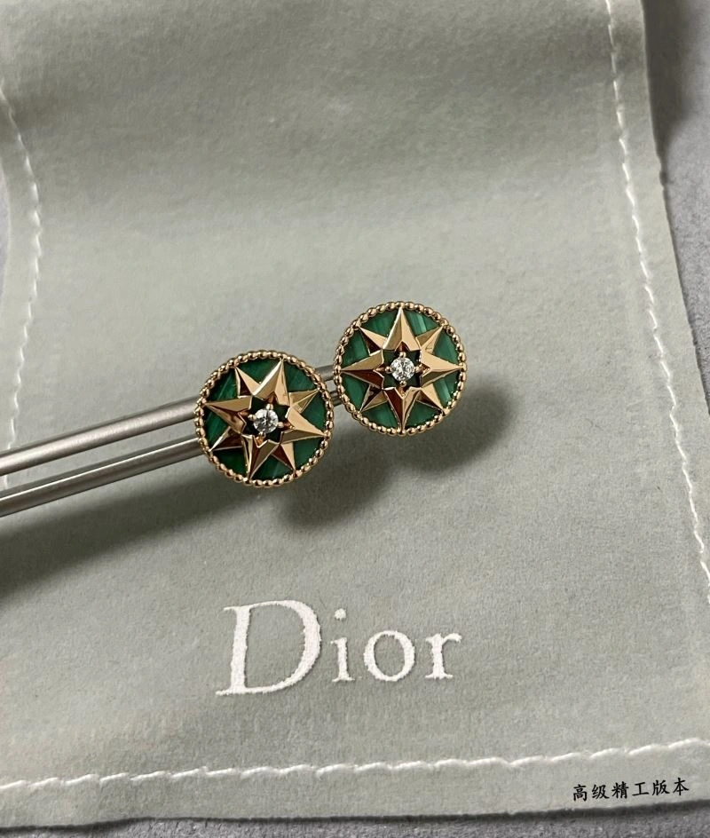 Fashionable Christian Dior Earrings 234548