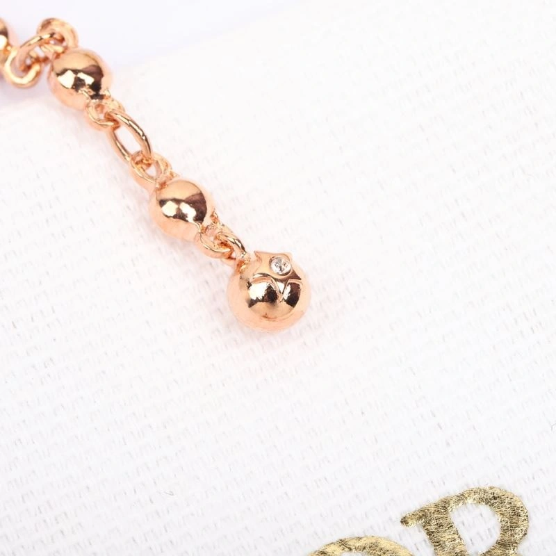Fashionable Christian Dior Earrings 234554
