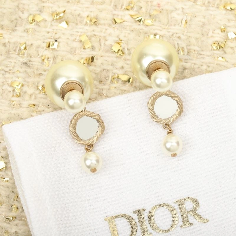 Popular Christian Dior Earrings 234553