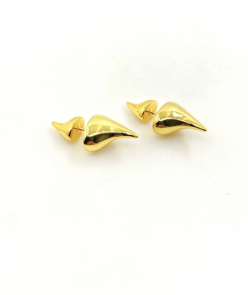 ZipUp Christian Dior Earrings 234555