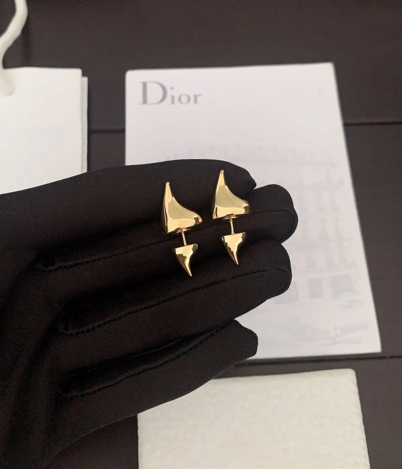 ZipUp Christian Dior Earrings 234555