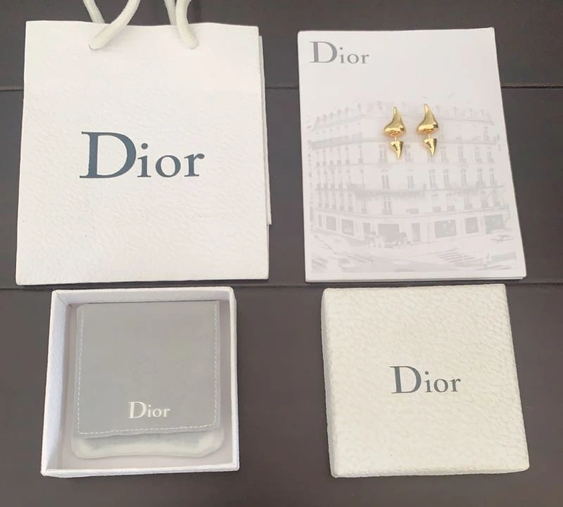 ZipUp Christian Dior Earrings 234555