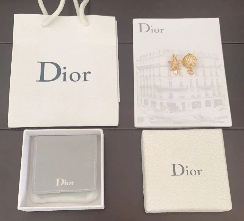 Christian Dior Earrings Stylish 234551