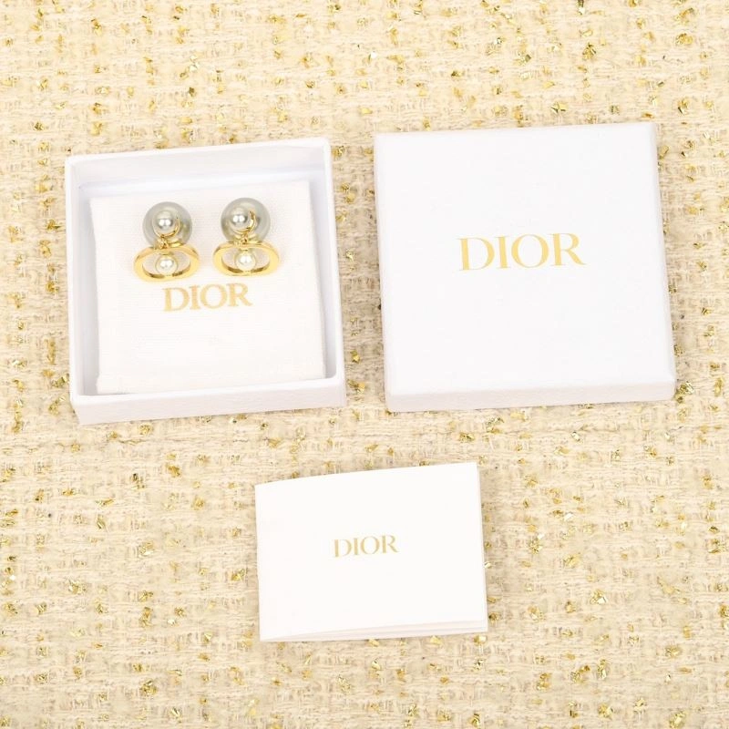 Christian Dior Earrings Stylish 234536