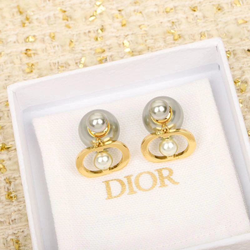 Christian Dior Earrings Stylish 234536