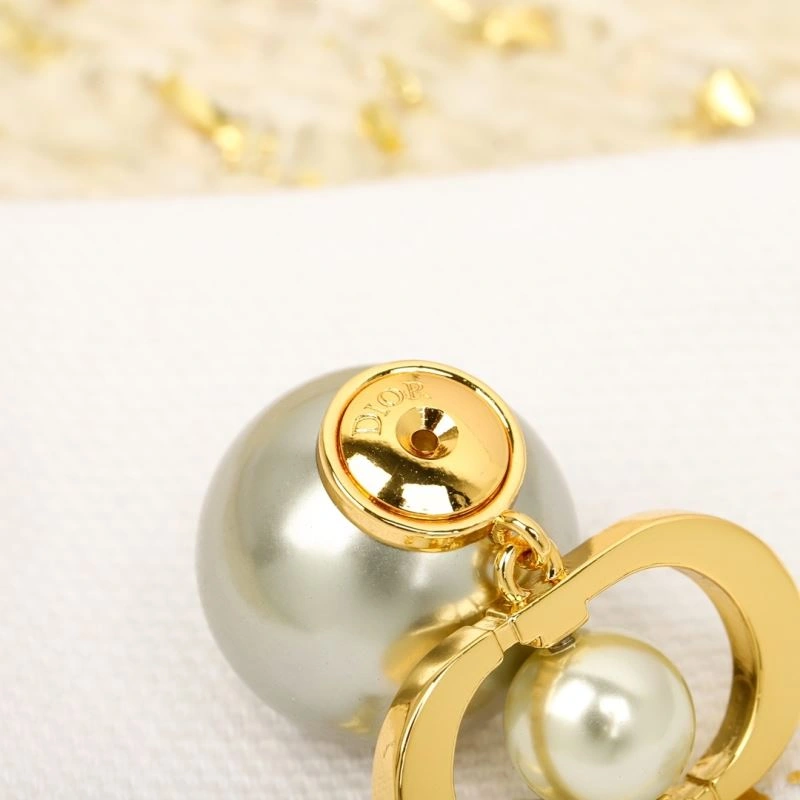 Christian Dior Earrings Stylish 234536