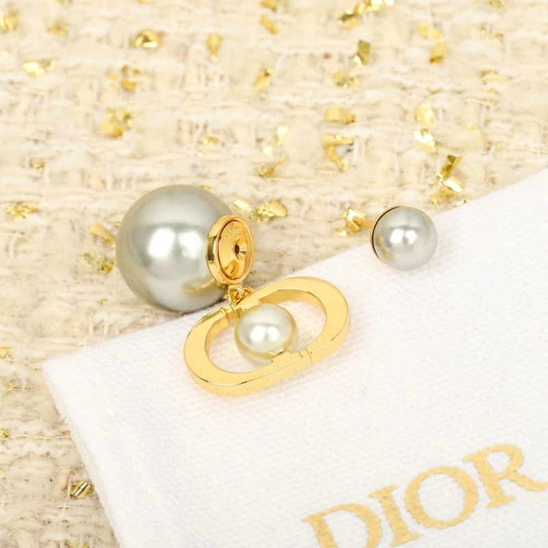 Christian Dior Earrings Stylish 234536