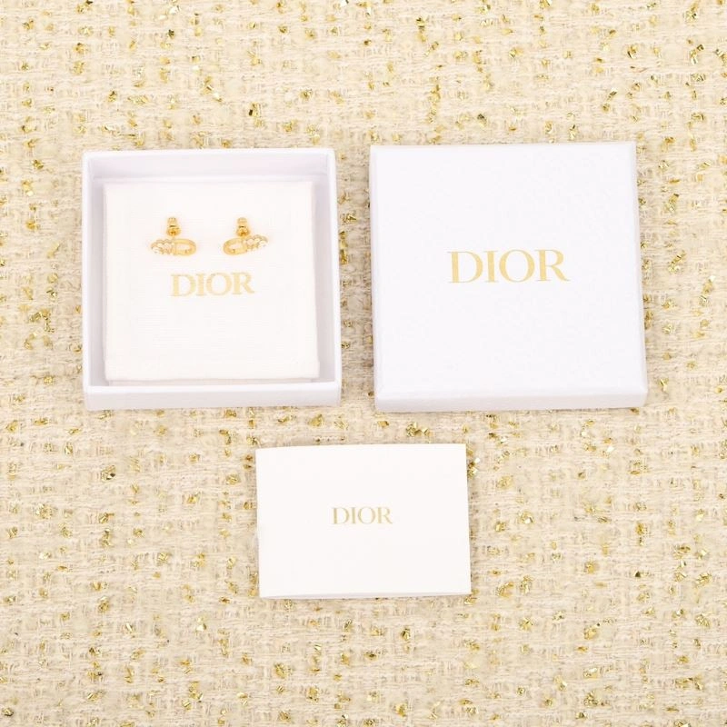 Christian Dior Earrings Affordable 234537