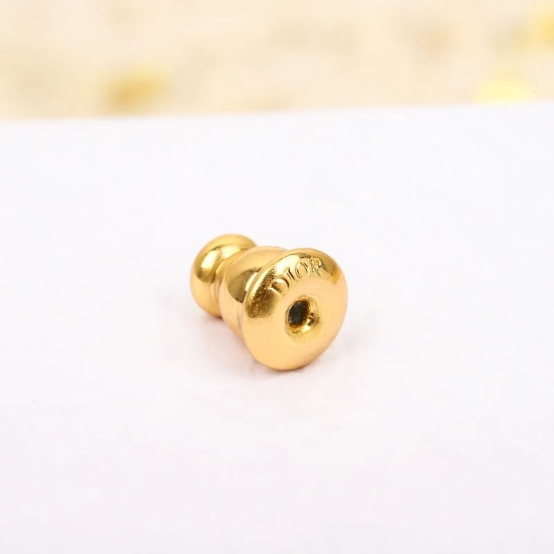 Christian Dior Earrings Affordable 234537