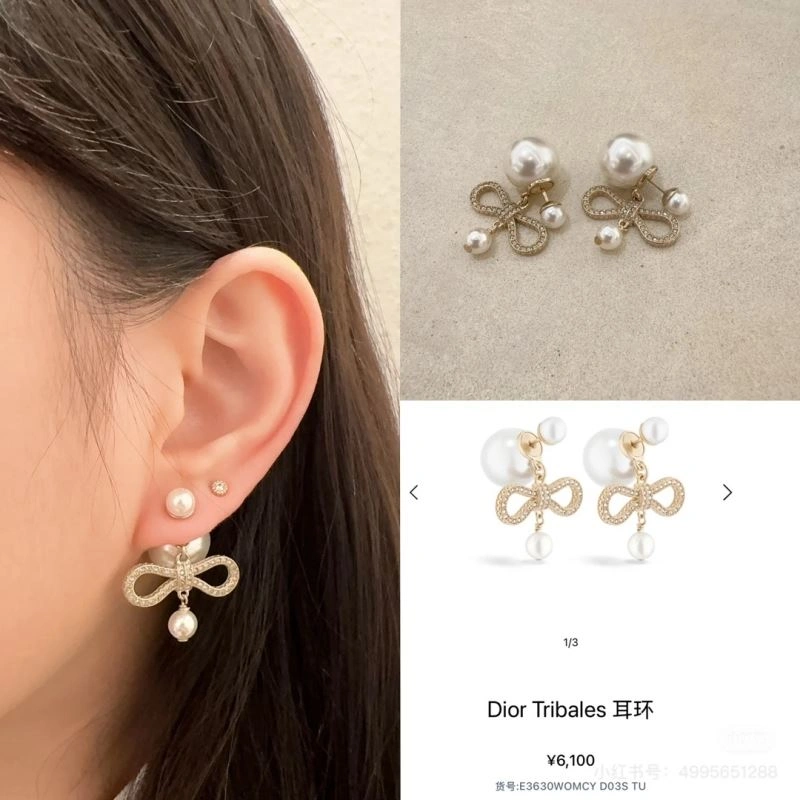 Classic Christian Dior Earrings 234523