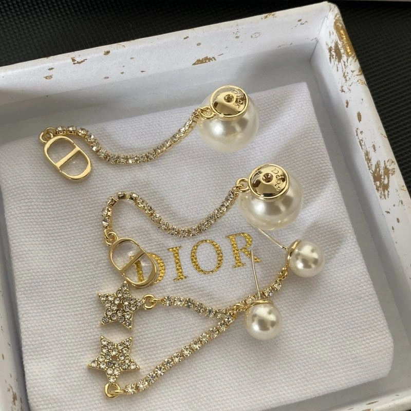 HighPerformance Christian Dior Earrings 234522