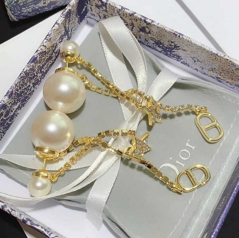HighPerformance Christian Dior Earrings 234522
