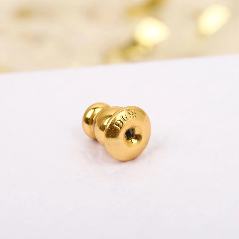 Christian Dior Earrings Packable 234507