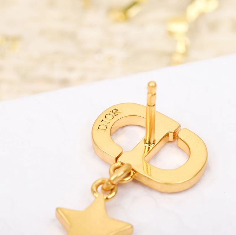 Christian Dior Earrings OdorResistant 234518