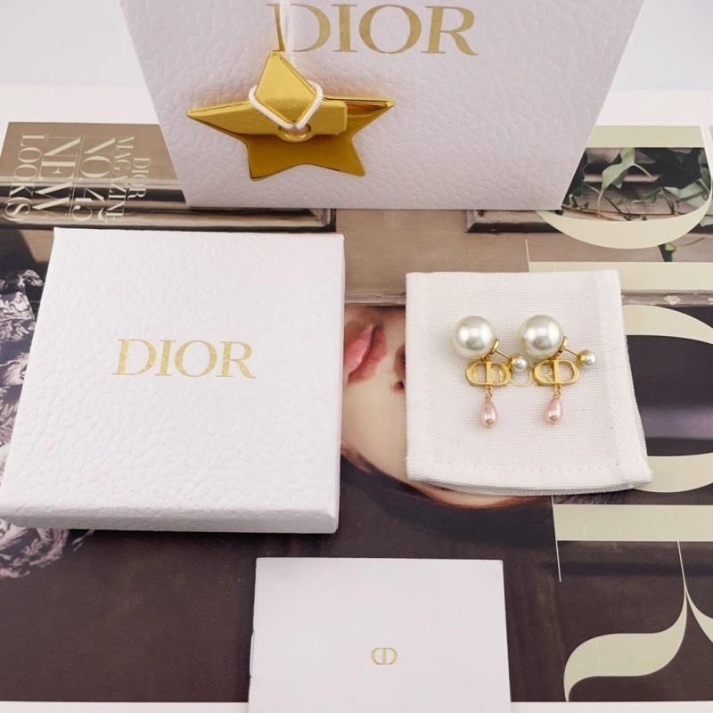 Trendsetting Christian Dior Earrings 234509