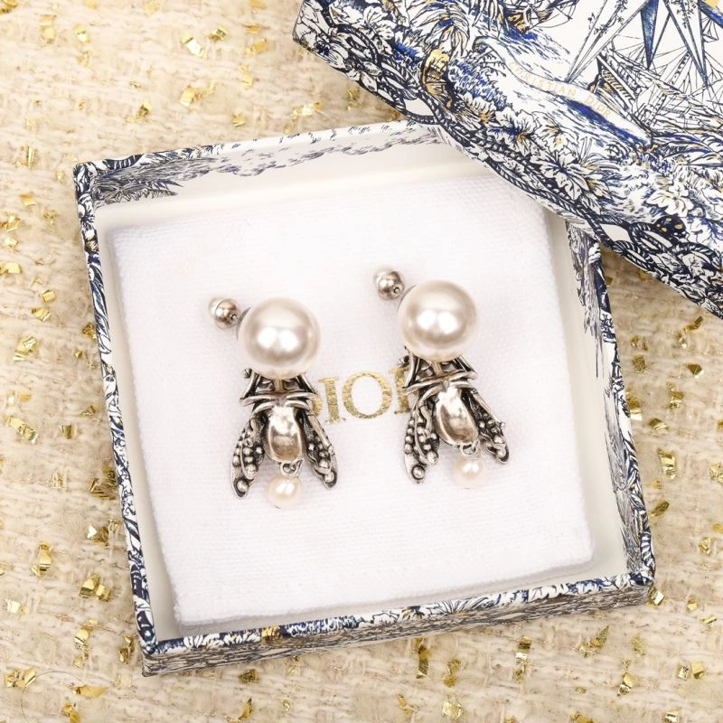 MultiPurpose Christian Dior Earrings 234504