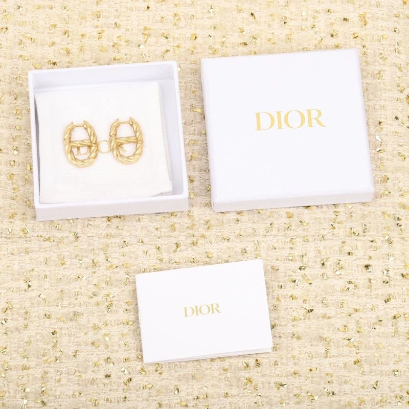 Vibrant Christian Dior Earrings 234562