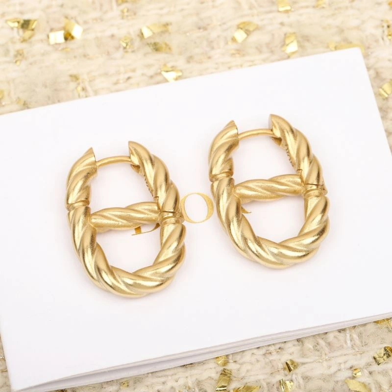 Vibrant Christian Dior Earrings 234562
