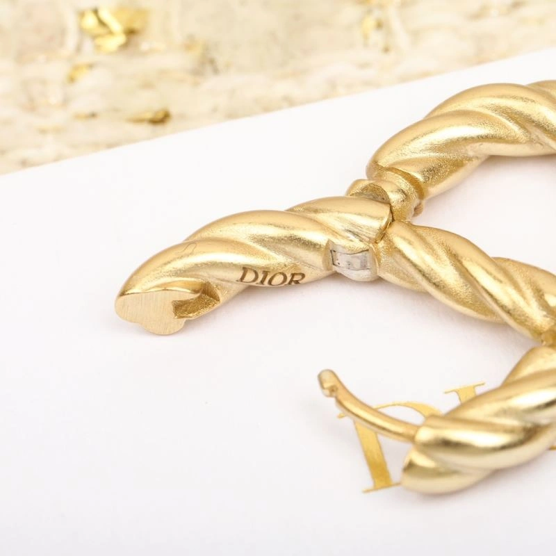 Vibrant Christian Dior Earrings 234562