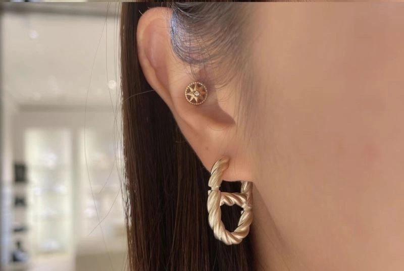 Vibrant Christian Dior Earrings 234562