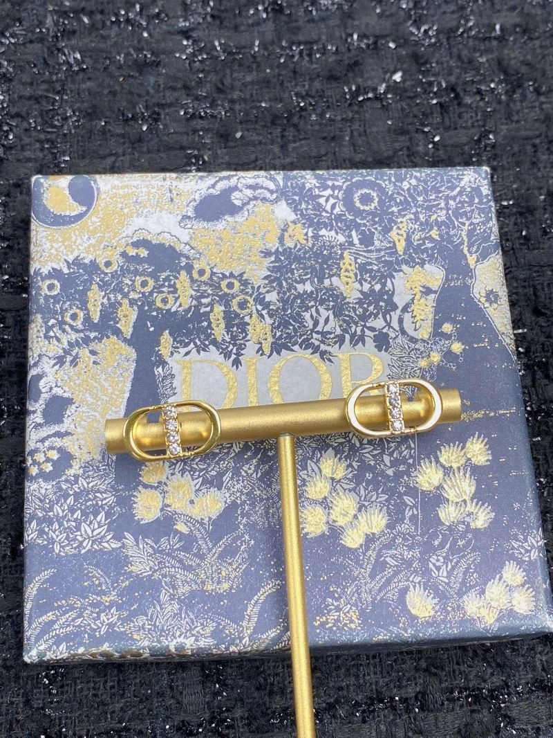 Cozy Christian Dior Earrings 234497