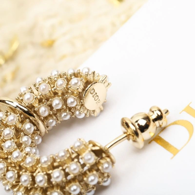 Christian Dior Earrings Stretchable 234480